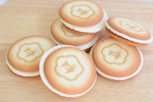 大阪 梅田 人気のクッキーが買えるお店おすすめ6選 Umeda Info